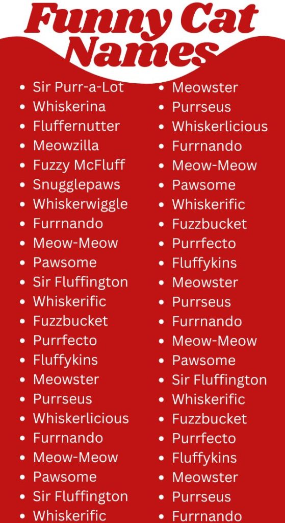 Funny Cat Names