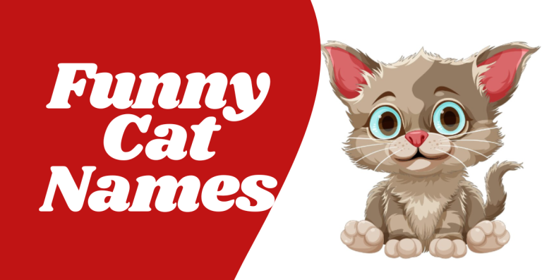 Purr-fectly Hilarious: Funny Cat Names That Will Make You Feline Good!