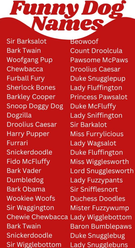 Funny Dog Names