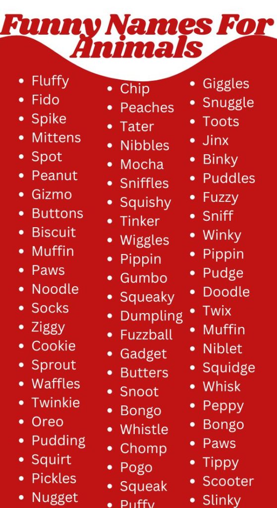 funny names for animals