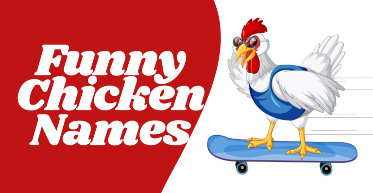 Cluck and Chuckle: Funny Chicken Names That’ll Have You Cackling!