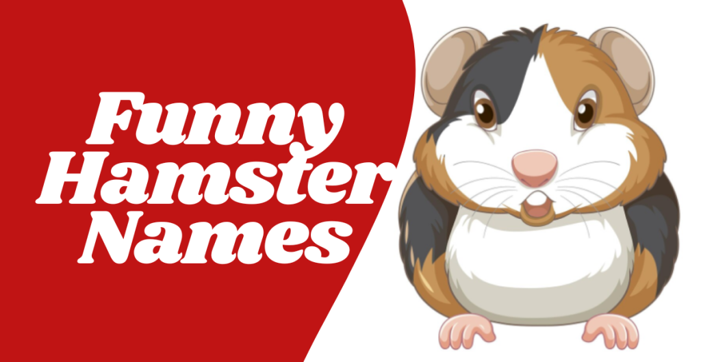 Laugh Out Loud: Funny Hamster Names to Brighten Your Day! Funny Hamster Names