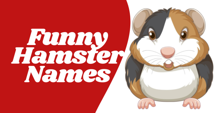 Laugh Out Loud: Funny Hamster Names to Brighten Your Day!
