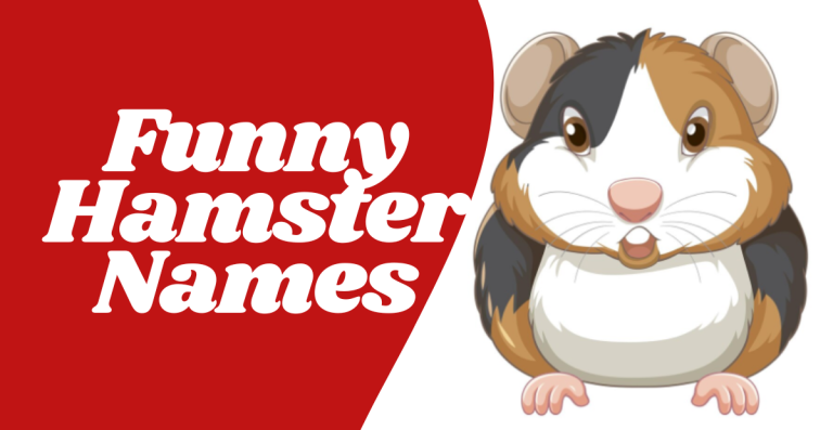 Funny Hamster Names