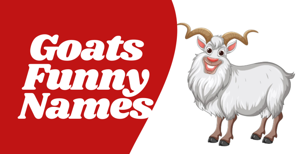 Funny Names For Goats