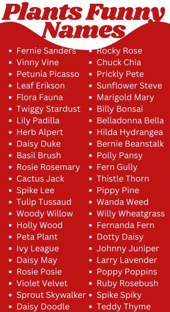 Funny Names For Plants