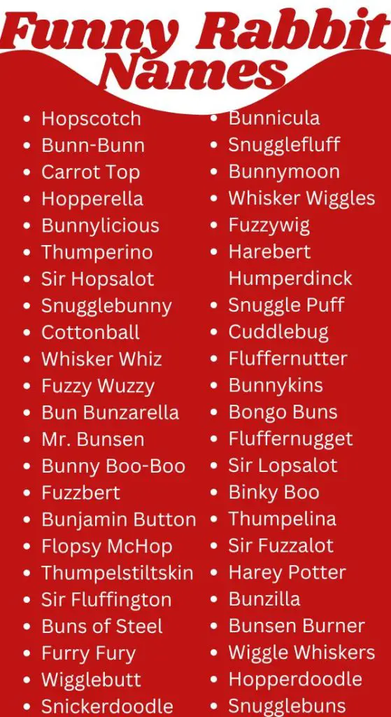 Funny Names For Rabbits