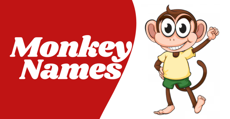 Monkey Business: Playful Monkey Names for Your Primate Pal