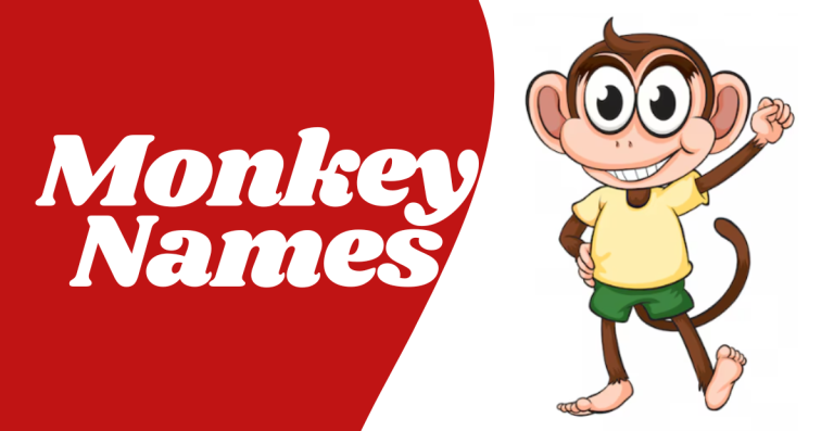 Monkey Names