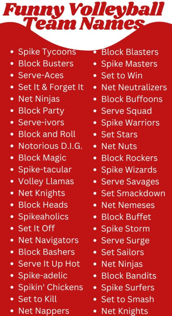 funny Volleyball team names