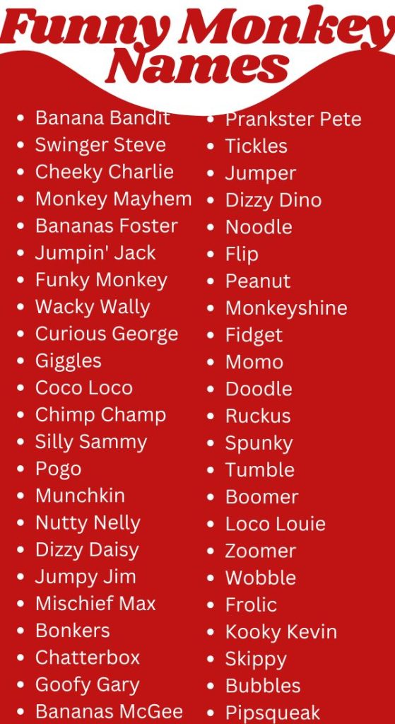 Funny Monkey Name ideas