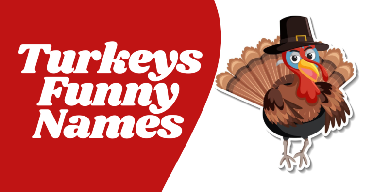 Funny Names For Turkeys