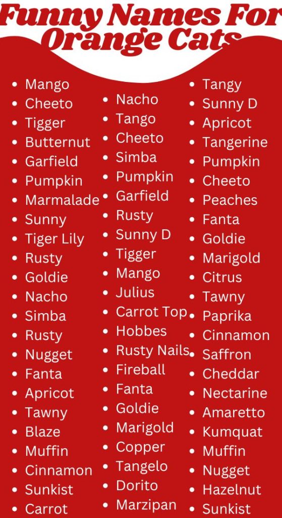 Funny Names For Orange Cats