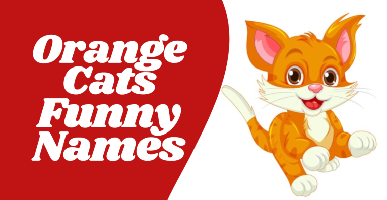 Funny Names For Orange Cats