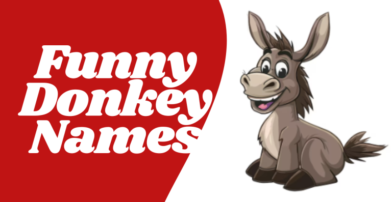 Funny Donkey Names