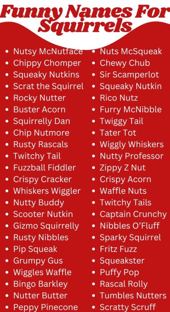 Funny Names For Squirrels