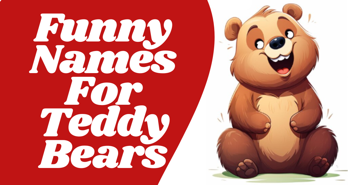 Funny Names For Teddy Bears