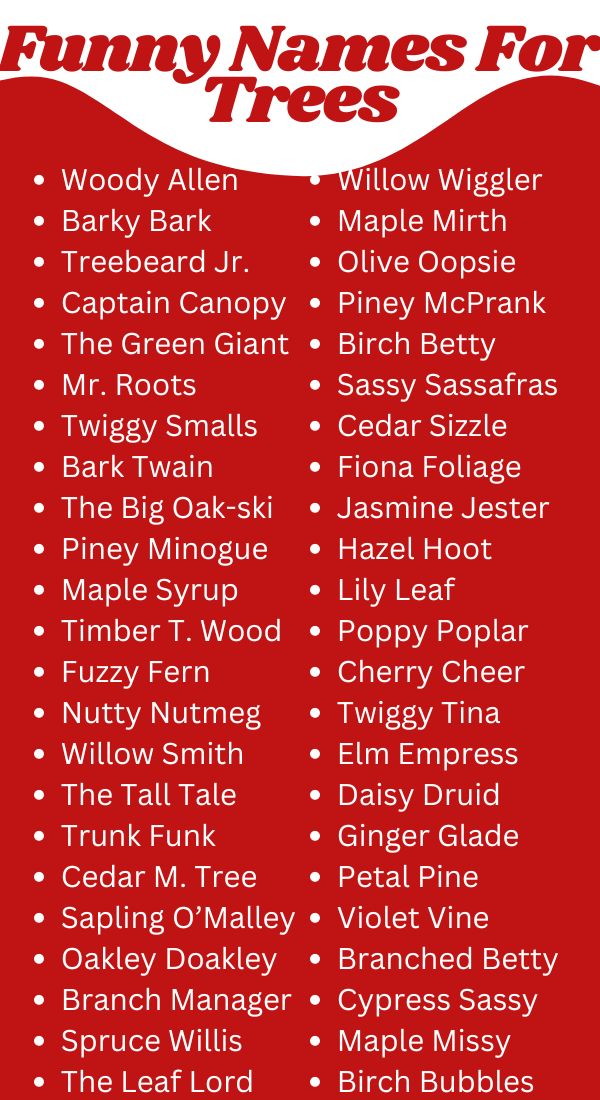 500+ Funny Names For Trees Unique Creative Cool & Cute