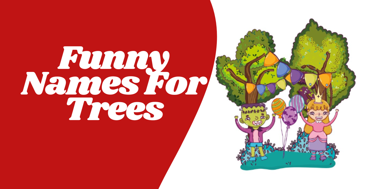 500+ Funny Names For Trees Unique Creative Cool & Cute