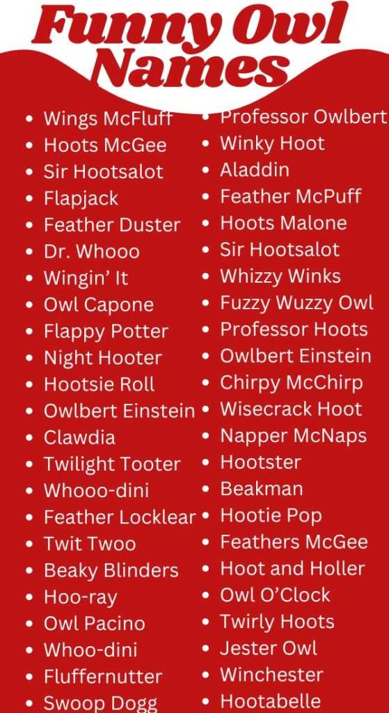 Funny Owl Names