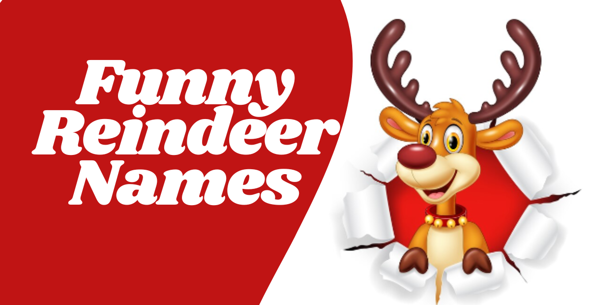 570+ Funny Reindeer Names Unique Stylish Creative & Cute