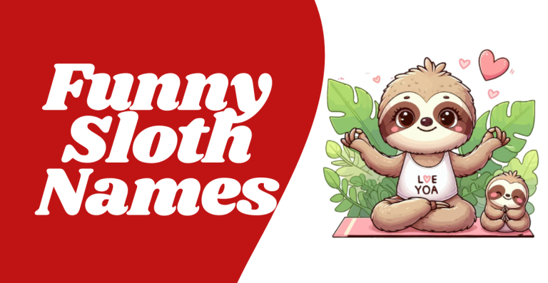 Funny Sloth Names