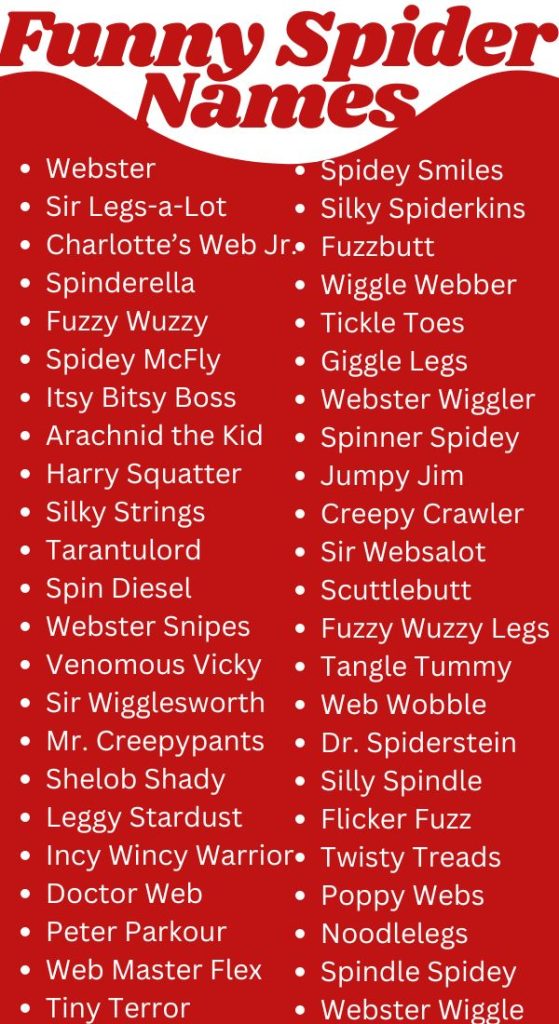 Funny Spider Names