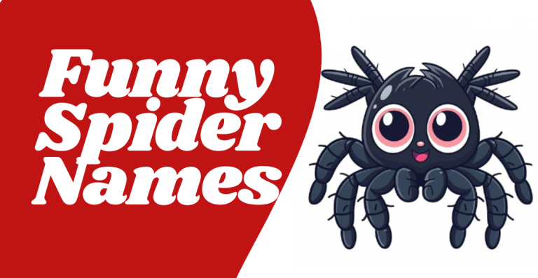 Funny Spider Names