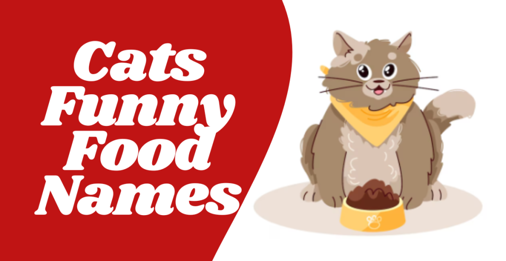 Cats Funny Food Names