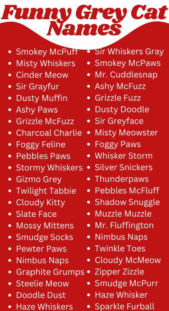 Funny Grey Cat Names