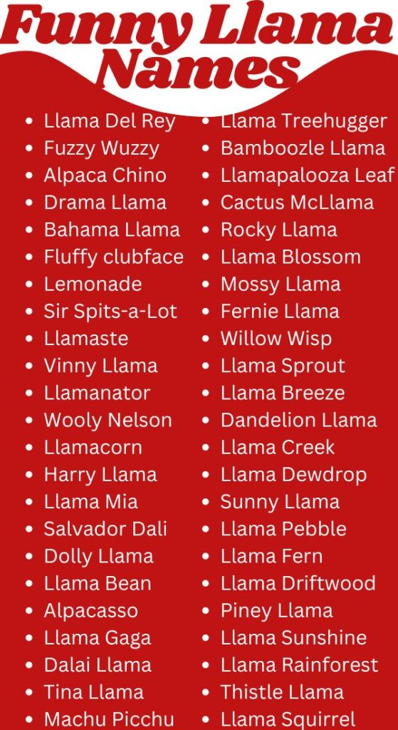 Funny Llama Names