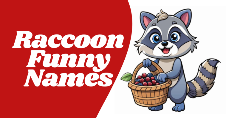 Funny Names For Raccoons