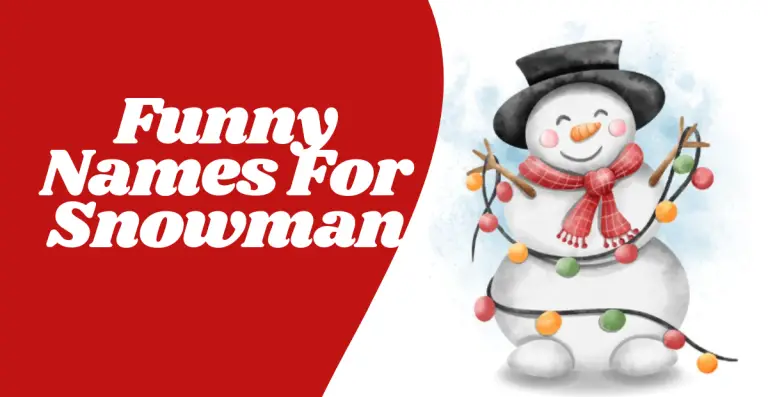 Funny Names For Snowman