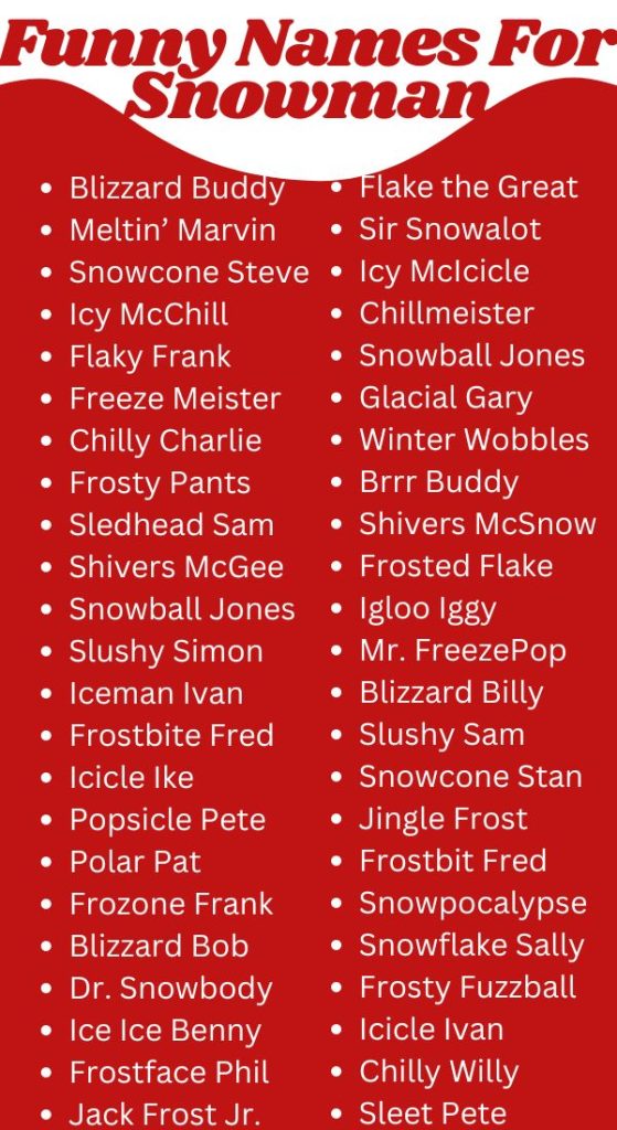 Funny Names For Snowman