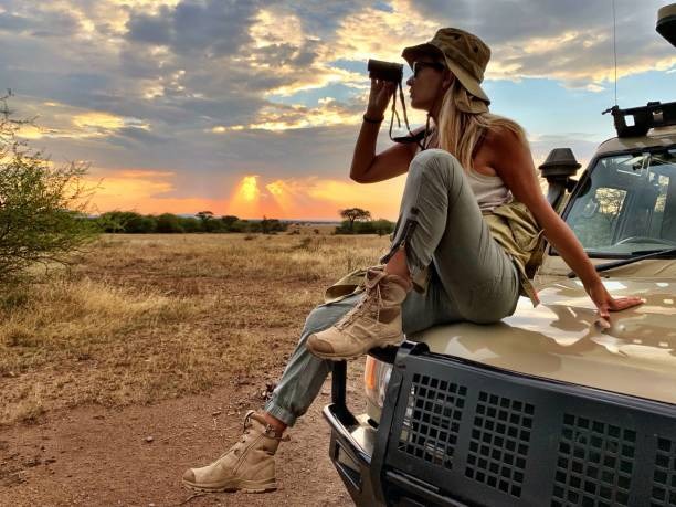Unforgettable Wildlife Adventures: Tips for an Ethical and Enriching Safari Experience Unforgettable Wildlife Adventures