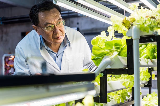 Grow a Greener Future with Sustainable Solutions Grow a Greener Future with Sustainable Solutions