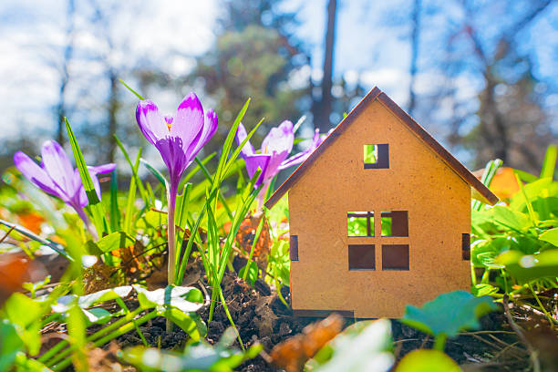 Small Changes That Transform Your Backyard Landscape Your Backyard Landscape